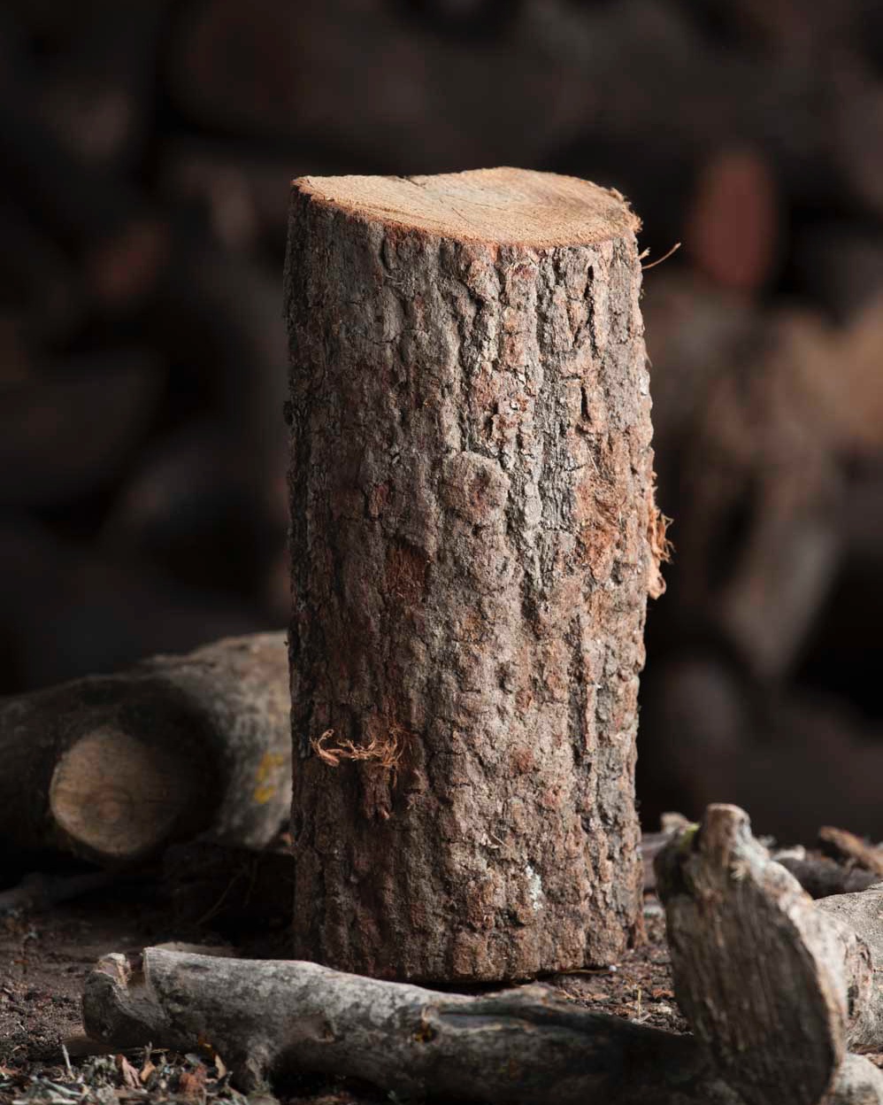 Leña de Castaño para estufas y chimeneas