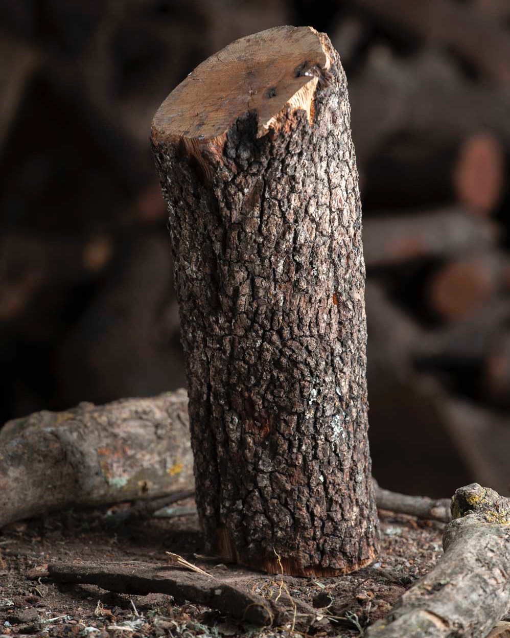 Leña de Encina para estufas y chimeneas
