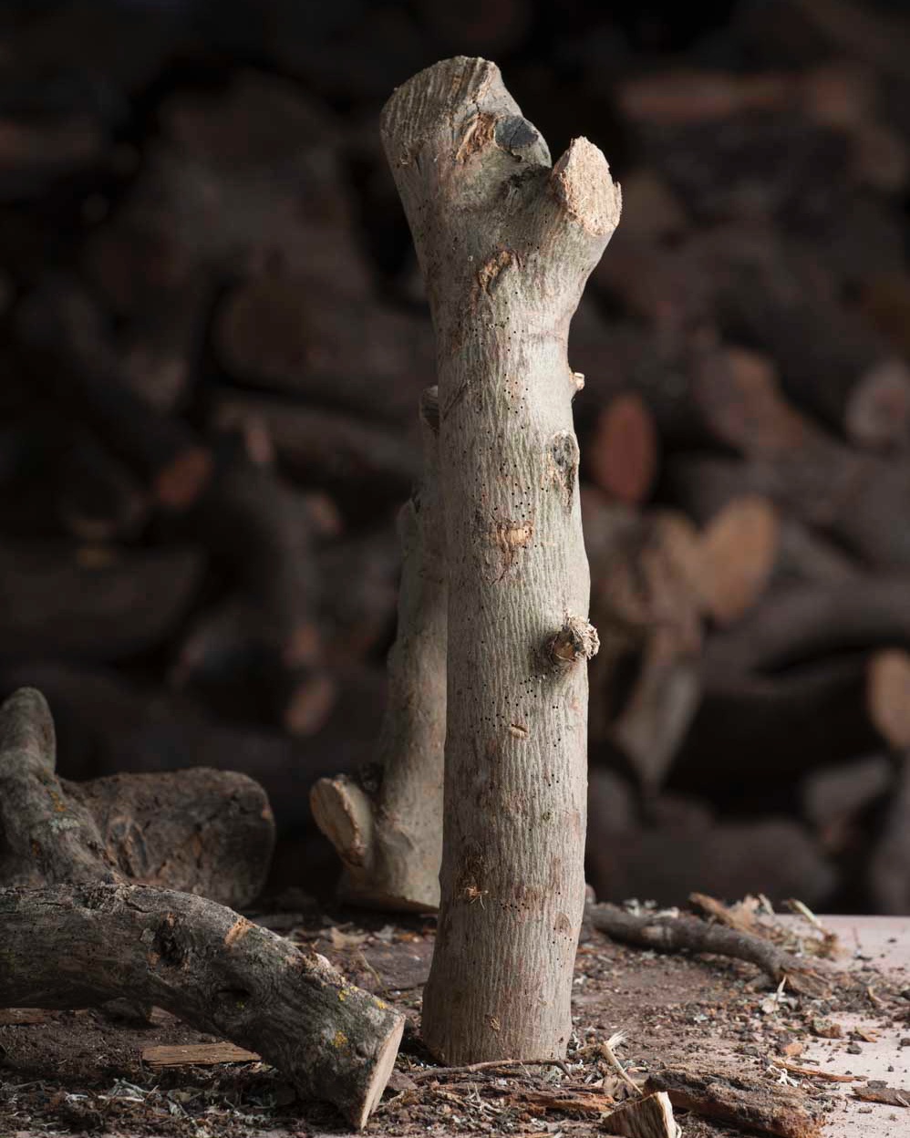 Leña de Manzano para estufas y chimeneas