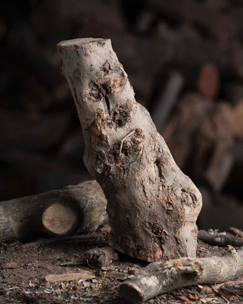 Leña de Olivo para estufas y chimeneas